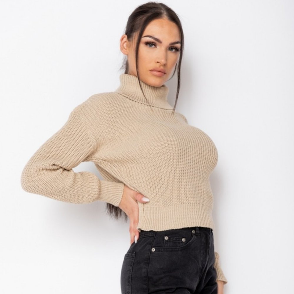 Beige Knitted Long Sleeve Turtle Neck Loose Fit Sweater Top - Picture 2 of 9